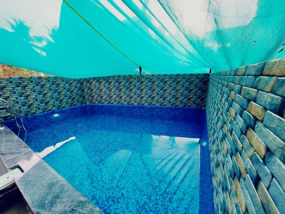 Swimming Pool View 3